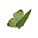 Butterfly decoration
