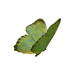 Butterfly decoration